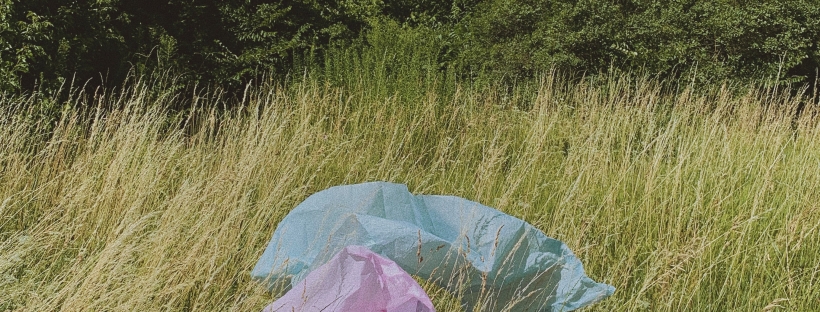 Photo of two big plastic bags, one blue and one pink, floating in a field of grass with trees and blue sky in the background.